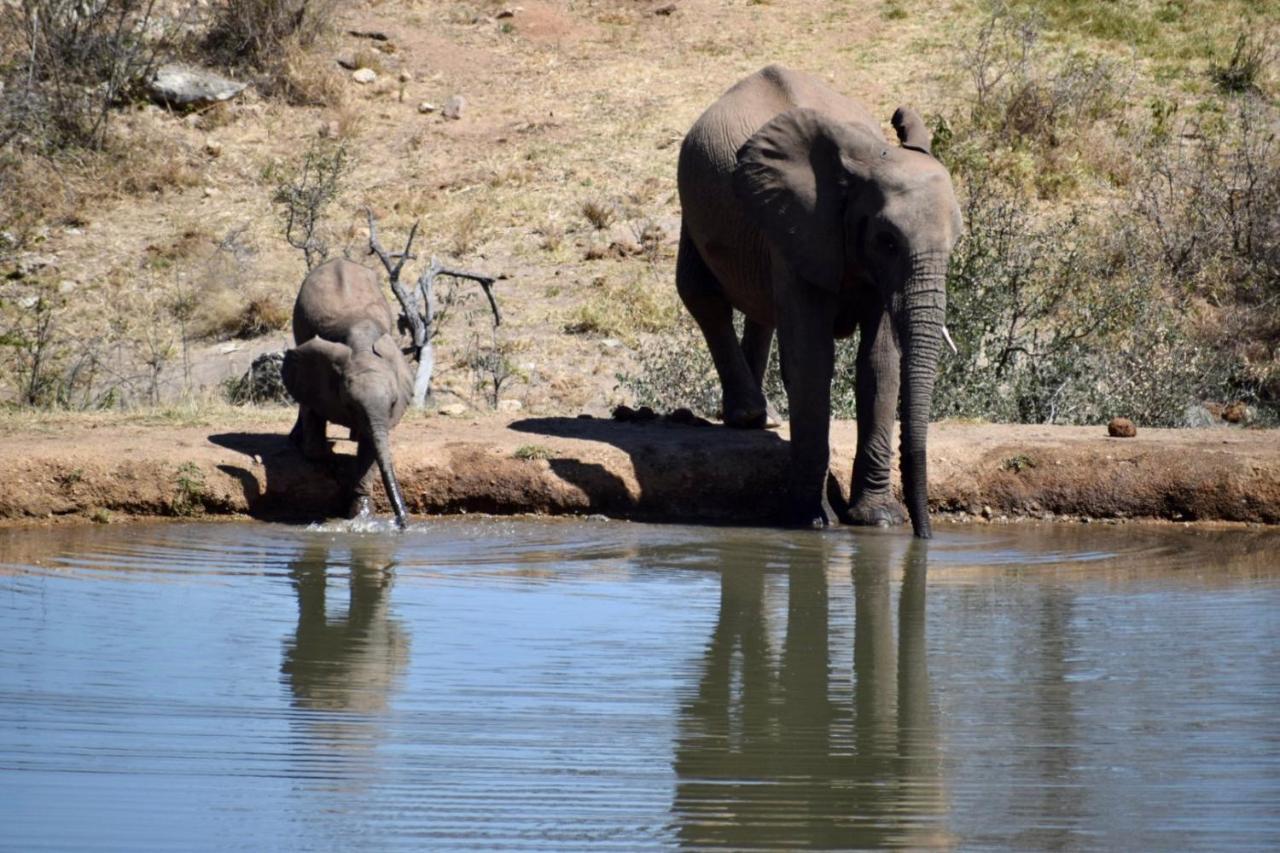 Milima Big 5 Safari Lodge Hoedspruit Exterior foto